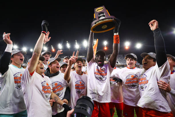 每年一度的 每年一度的