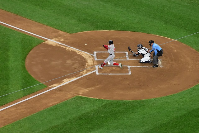 屡见不鲜 屡见不鲜