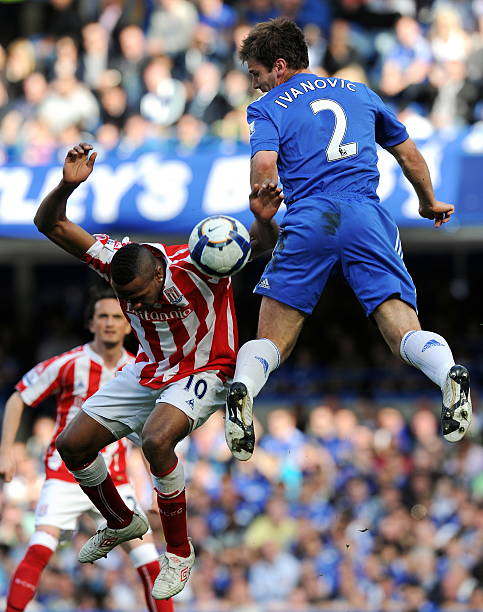 和观赏性的 和观赏性的